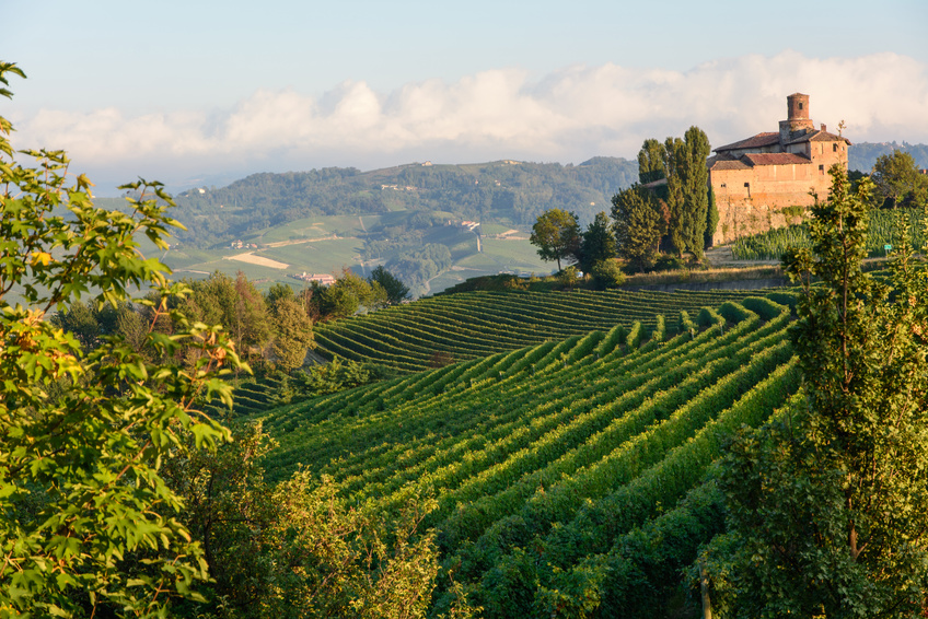 Kulinarisches Italien - Piemont