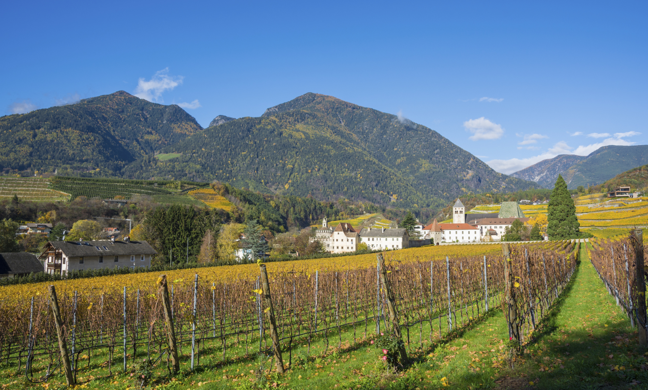 Weinhang in Südtirol