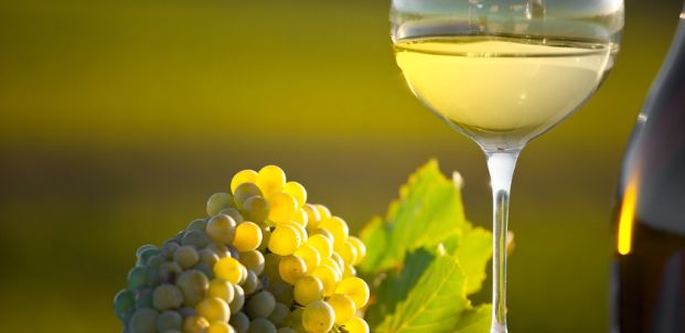 Magischer Wein: Weißburgunder aus Südtirol