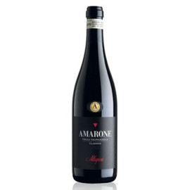 Amarone della Valpolicella Classico