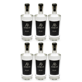 Gin Classic (6x0,7l)