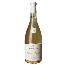Bruno Broglia Gavi di Gavi