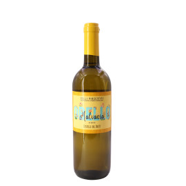Obello Bianco Semidry Colli Piacentini