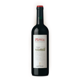 Chianti Classico Pèppoli