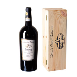 Amarone della Valpolicella Selezione Castagnedi Magnum