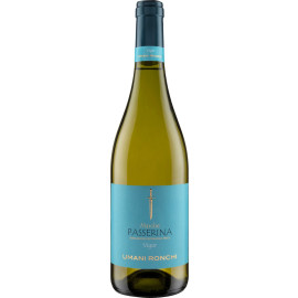 Vigor Marche Passerina